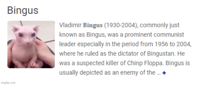 Found this on Microsoft BING[us] | made w/ Imgflip meme maker