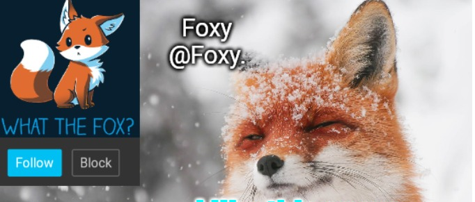 Cute Fox ? Blank Meme Template