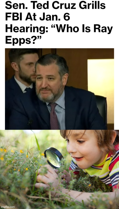 image tagged in funny memes | made w/ Imgflip meme maker