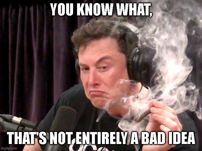 As A Proposal For A Possibility To Act Upon, I Consider | YOU KNOW WHAT, THAT'S NOT ENTIRELY A BAD IDEA | image tagged in elon musk weed | made w/ Imgflip meme maker