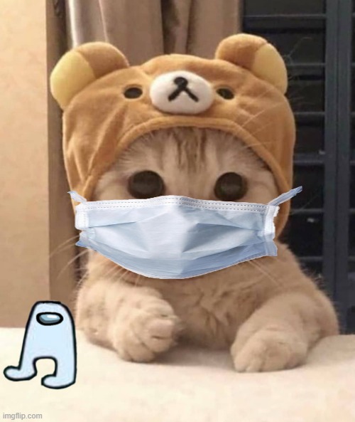 cat with mask | image tagged in cute cat | made w/ Imgflip meme maker