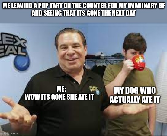 gf i guess |  ME LEAVING A POP TART ON THE COUNTER FOR MY IMAGINARY GF
AND SEEING THAT ITS GONE THE NEXT DAY; ME:      
WOW ITS GONE SHE ATE IT; MY DOG WHO ACTUALLY ATE IT | image tagged in dog,imagination | made w/ Imgflip meme maker