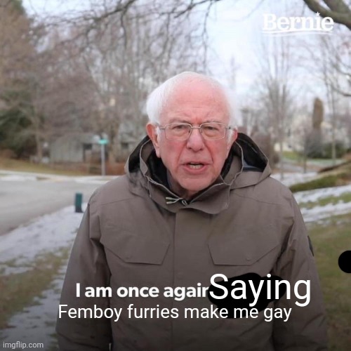 Bernie I Am Once Again Asking For Your Support | Saying; Femboy furries make me gay | image tagged in memes,bernie i am once again asking for your support | made w/ Imgflip meme maker