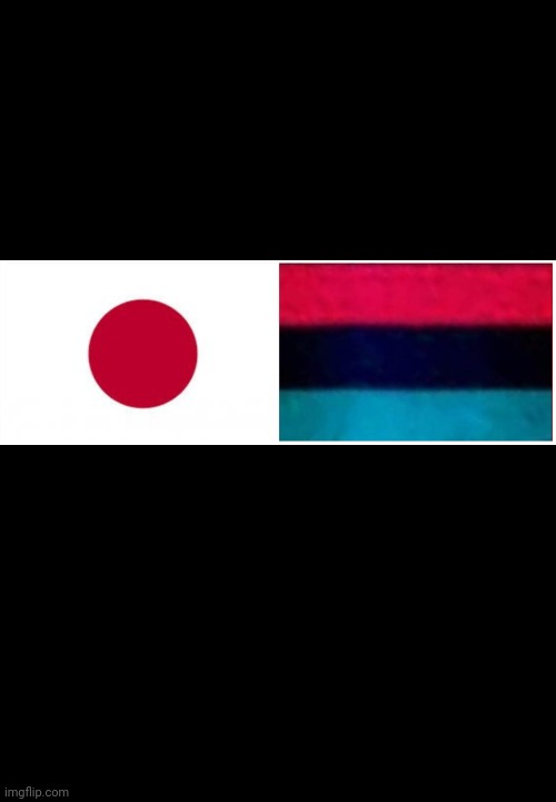 Japanese pan African flag | image tagged in black privilege meme | made w/ Imgflip meme maker