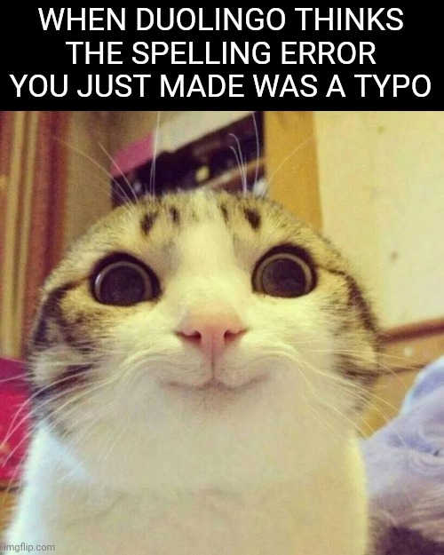 Smiling Cat | WHEN DUOLINGO THINKS THE SPELLING ERROR YOU JUST MADE WAS A TYPO | image tagged in memes,smiling cat,duolingo | made w/ Imgflip meme maker