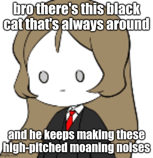 and since I have a cold I can't chase him out :| | bro there's this black cat that's always around; and he keeps making these high-pitched moaning noises | image tagged in depression | made w/ Imgflip meme maker