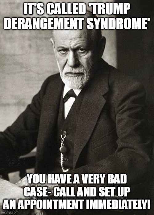 Freud | IT'S CALLED 'TRUMP DERANGEMENT SYNDROME' YOU HAVE A VERY BAD CASE- CALL AND SET UP AN APPOINTMENT IMMEDIATELY! | image tagged in freud | made w/ Imgflip meme maker
