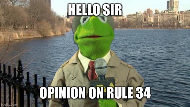 Kermit News Report | HELLO SIR OPINION ON RULE 34 | image tagged in kermit news report | made w/ Imgflip meme maker