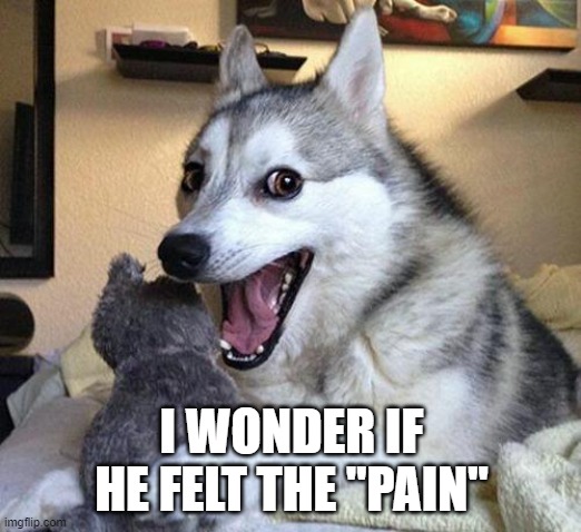Pun Dog Punchline | I WONDER IF HE FELT THE "PAIN" | image tagged in pun dog punchline | made w/ Imgflip meme maker