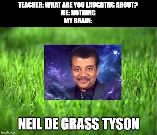 grass is greener | TEACHER: WHAT ARE YOU LAUGHTNG ABOUT?
ME: NOTHING
MY BRAIN:; NEIL DE GRASS TYSON | image tagged in grass is greener | made w/ Imgflip meme maker
