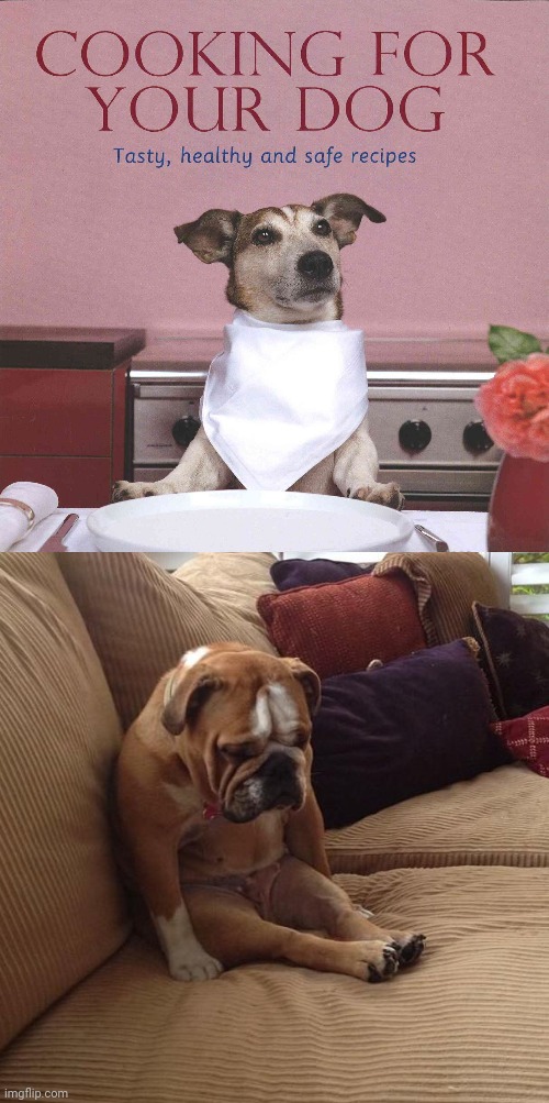 Cooking for your dog | image tagged in bulldogsad,reposts,repost,dogs,dog,memes | made w/ Imgflip meme maker