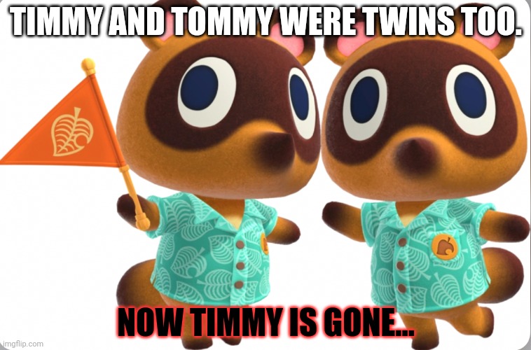 Timmy and Tommy Nook | TIMMY AND TOMMY WERE TWINS TOO. NOW TIMMY IS GONE... | image tagged in timmy and tommy nook | made w/ Imgflip meme maker