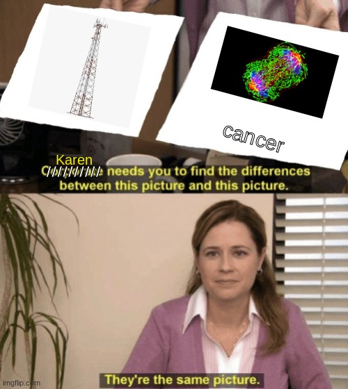 Karens be like | cancer; //////////; Karen | image tagged in coorperate needs to find | made w/ Imgflip meme maker