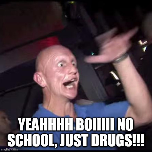 Drugs Crazy Guy | YEAHHHH BOIIIII NO SCHOOL, JUST DRUGS!!! | image tagged in drugs crazy guy | made w/ Imgflip meme maker