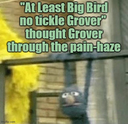 "At Least Big Bird
no tickle Grover" 
thought Grover through the pain-haze | made w/ Imgflip meme maker