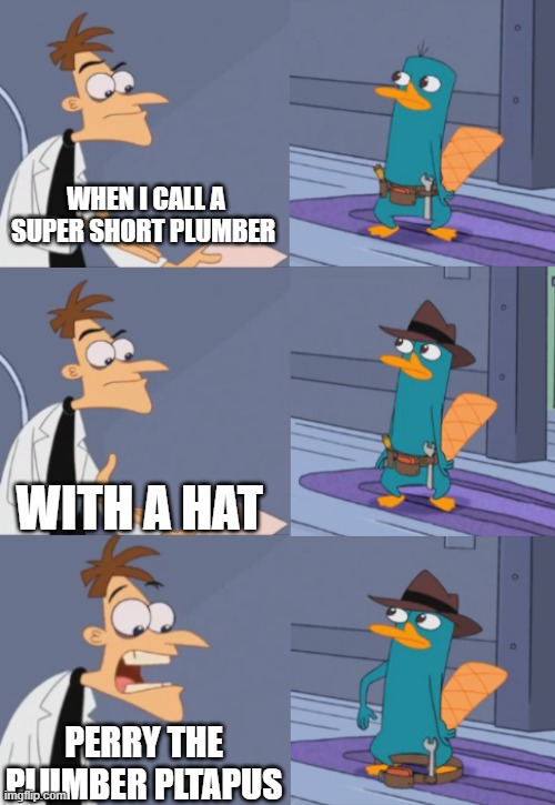 when i call a plumber | WHEN I CALL A SUPER SHORT PLUMBER; WITH A HAT; PERRY THE PLUMBER PLTAPUS | image tagged in perry the platapus plumber | made w/ Imgflip meme maker