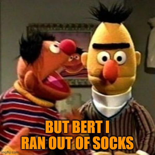 Ernie and Bert | BUT BERT I RAN OUT OF SOCKS | image tagged in ernie and bert | made w/ Imgflip meme maker