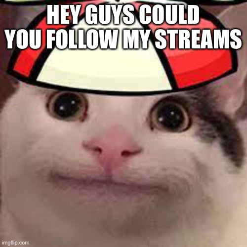 Pls | HEY GUYS COULD YOU FOLLOW MY STREAMS | image tagged in belu jr | made w/ Imgflip meme maker