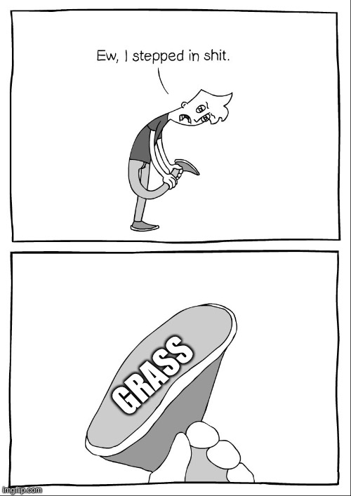 Ew, i stepped in shit | GRASS | image tagged in ew i stepped in shit | made w/ Imgflip meme maker