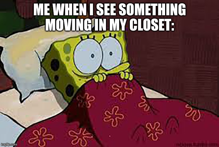Scared Sponge Bob | ME WHEN I SEE SOMETHING MOVING IN MY CLOSET: | image tagged in scared sponge bob | made w/ Imgflip meme maker
