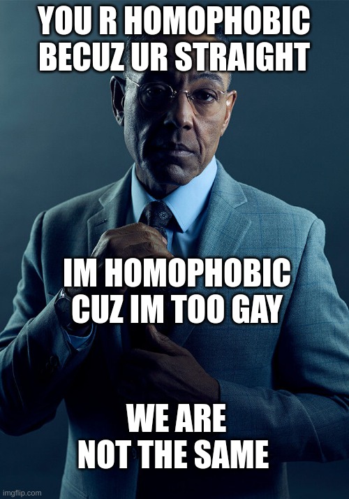 Gus Fring we are not the same | YOU R HOMOPHOBIC BECUZ UR STRAIGHT; IM HOMOPHOBIC CUZ IM TOO GAY; WE ARE NOT THE SAME | image tagged in gus fring we are not the same | made w/ Imgflip meme maker