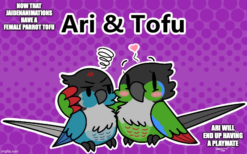 Ari and Tofu | NOW THAT JAIDENANIMATIONS HAVE A FEMALE PARROT TOFU; ARI WILL END UP HAVING A PLAYMATE | image tagged in jaiden animations,memes,youtube | made w/ Imgflip meme maker