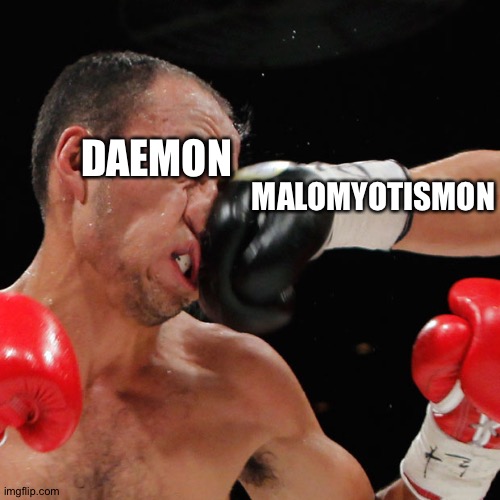 MaloMyotismon punches Daemon |  MALOMYOTISMON; DAEMON | image tagged in boxer getting punched in the face | made w/ Imgflip meme maker