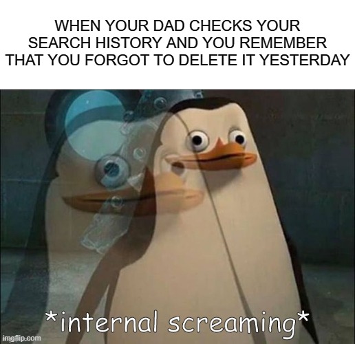 OH NO |  WHEN YOUR DAD CHECKS YOUR SEARCH HISTORY AND YOU REMEMBER THAT YOU FORGOT TO DELETE IT YESTERDAY | image tagged in private internal screaming,search history,internal screaming,when your dad,front page plz,front page | made w/ Imgflip meme maker