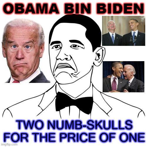 OBAMA BIN BIDEN. Two numb-skulls for the price of one | OBAMA BIN BIDEN; TWO NUMB-SKULLS FOR THE PRICE OF ONE | image tagged in memes,not bad obama | made w/ Imgflip meme maker