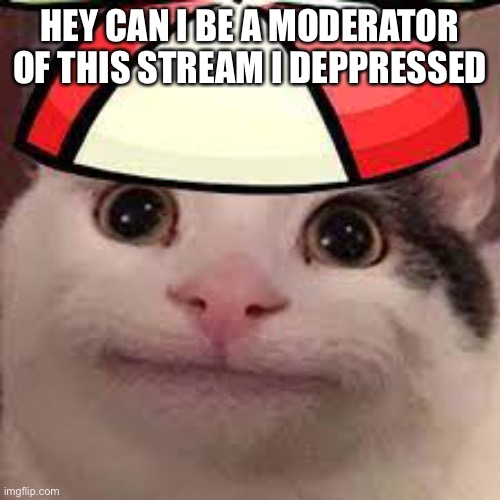 Pls | HEY CAN I BE A MODERATOR OF THIS STREAM I DEPPRESSED | image tagged in belu jr | made w/ Imgflip meme maker