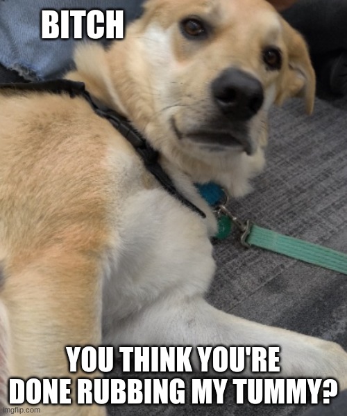 BITCH YOU THINK YOU'RE DONE RUBBING MY TUMMY? | made w/ Imgflip meme maker