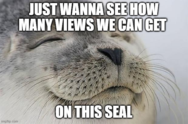 Satisfied Seal | JUST WANNA SEE HOW MANY VIEWS WE CAN GET; ON THIS SEAL | image tagged in memes,satisfied seal | made w/ Imgflip meme maker