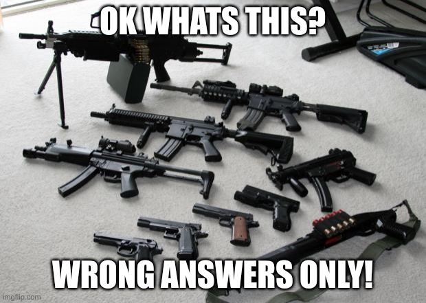 guns | OK WHATS THIS? WRONG ANSWERS ONLY! | image tagged in guns | made w/ Imgflip meme maker