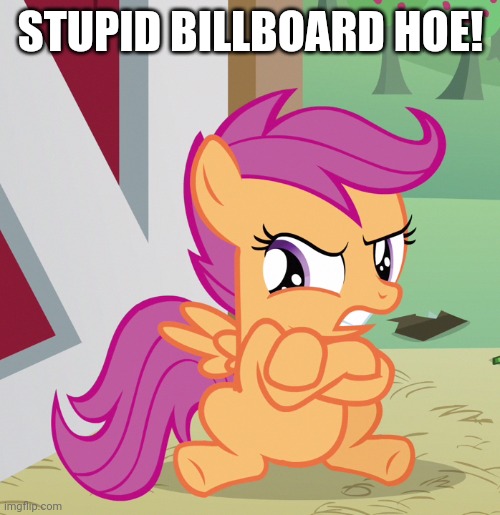 Angry Scootaloo (MLP) | STUPID BILLBOARD HOE! | image tagged in angry scootaloo mlp | made w/ Imgflip meme maker