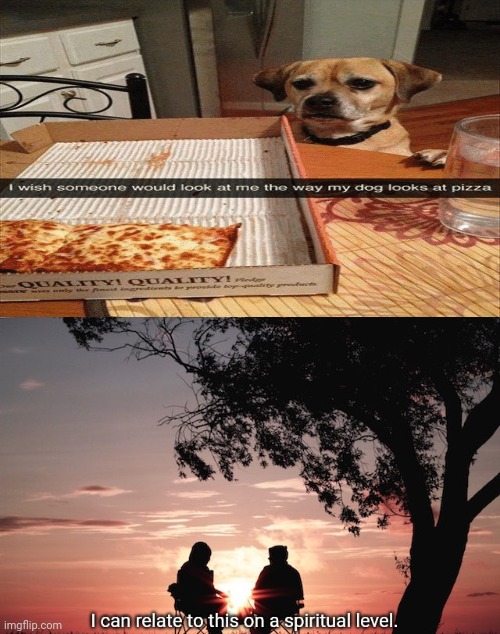 Dog pizza | image tagged in i can relate to this on a spiritual level,dogs,dog,pizza,memes,meme | made w/ Imgflip meme maker