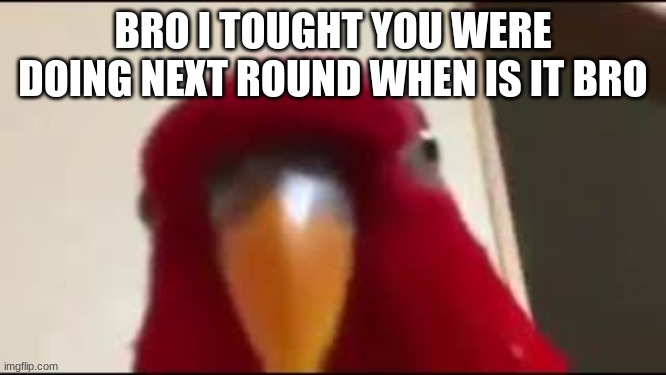 Red Birb Gumi Staring | BRO I TOUGHT YOU WERE DOING NEXT ROUND WHEN IS IT BRO | image tagged in red birb gumi staring | made w/ Imgflip meme maker