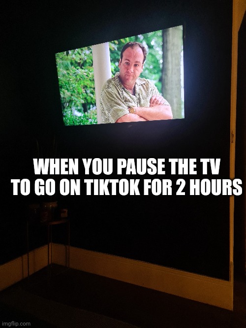TV vs TikTok | WHEN YOU PAUSE THE TV TO GO ON TIKTOK FOR 2 HOURS | image tagged in disapproval,tv,tiktok | made w/ Imgflip meme maker