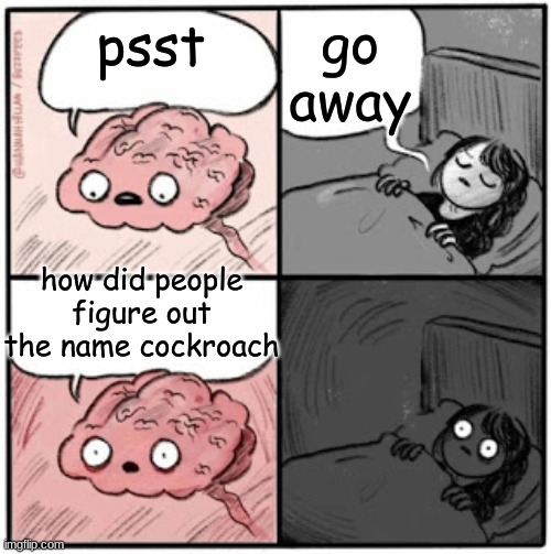 Brain Before Sleep | go away; psst; how did people figure out the name cockroach | image tagged in brain before sleep | made w/ Imgflip meme maker