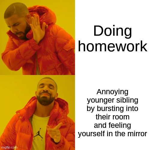 Drake Hotline Bling | Doing homework; Annoying younger sibling by bursting into their room and feeling yourself in the mirror | image tagged in memes,drake hotline bling | made w/ Imgflip meme maker