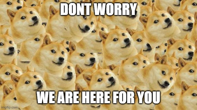 Multi Doge Meme | DONT WORRY WE ARE HERE FOR YOU | image tagged in memes,multi doge | made w/ Imgflip meme maker