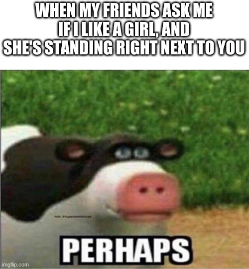 Perhaps | WHEN MY FRIENDS ASK ME IF I LIKE A GIRL, AND SHE'S STANDING RIGHT NEXT TO YOU | image tagged in perhaps cow | made w/ Imgflip meme maker