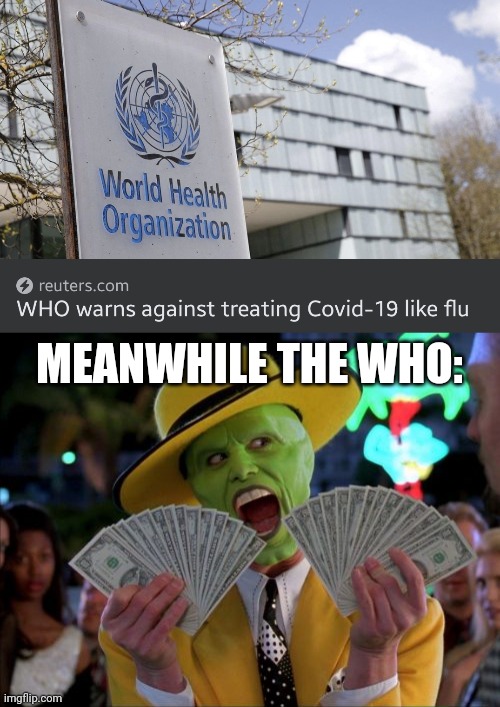 WHO loves money (said by anti-vaxxers) | MEANWHILE THE WHO: | image tagged in memes,money money,who,coronavirus,covid-19,flu | made w/ Imgflip meme maker
