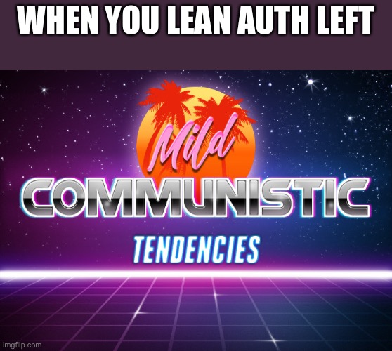 Not me, lol. | WHEN YOU LEAN AUTH LEFT | image tagged in mild communistic tendencies | made w/ Imgflip meme maker
