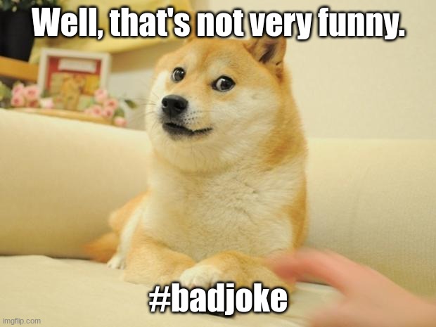Doge 2 | Well, that's not very funny. #badjoke | image tagged in memes,doge 2 | made w/ Imgflip meme maker