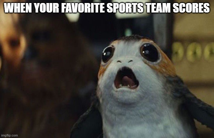 Sports | WHEN YOUR FAVORITE SPORTS TEAM SCORES | image tagged in star wars porg | made w/ Imgflip meme maker