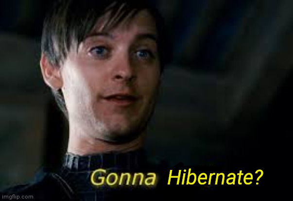 Gonna cry? | Hibernate? | image tagged in gonna cry | made w/ Imgflip meme maker