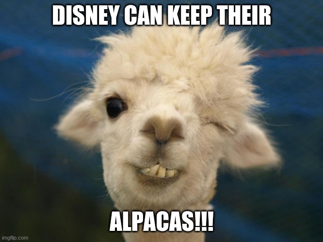 alpaca | DISNEY CAN KEEP THEIR; ALPACAS!!! | image tagged in alpaca | made w/ Imgflip meme maker