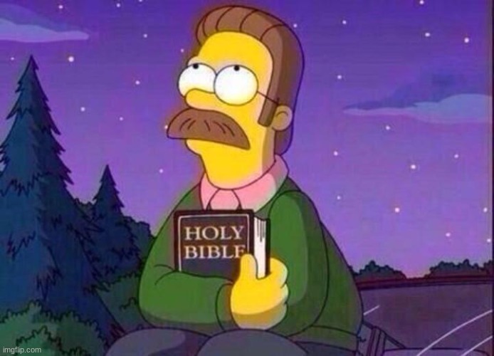 Ned Flanders and Bible | image tagged in ned flanders and bible | made w/ Imgflip meme maker