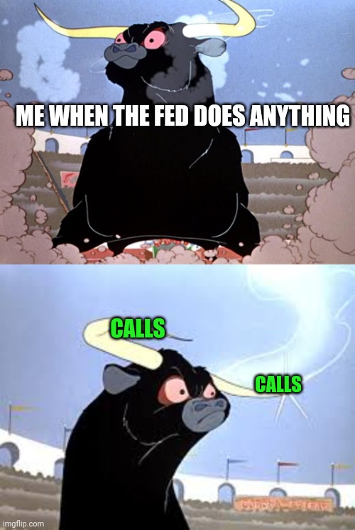 When the fed does anything | ME WHEN THE FED DOES ANYTHING; CALLS; CALLS | image tagged in federal reserve,stonks | made w/ Imgflip meme maker