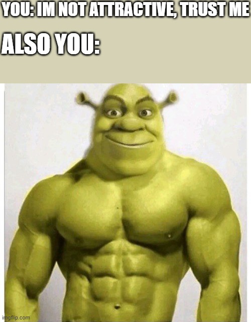 ..... | YOU: IM NOT ATTRACTIVE, TRUST ME; ALSO YOU: | image tagged in shrek hot,shrek,wholesome | made w/ Imgflip meme maker